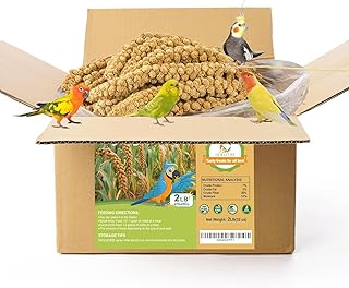 2LB Spray Millet Bird Treat for Parakeets, Natural Sun-Dried Birds Millet Spray for Parrots, Finches, Cockatiel, Budgie & Hamster, Bird Food Bulk