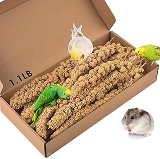 KATUMO 1.1LB Spray Millet Treat for Birds, Natual Sun-Dried Bird Millet Parrot Food for Parakeet Budgie Cockatiel Finches Lovebird Conure Parrots Hamster