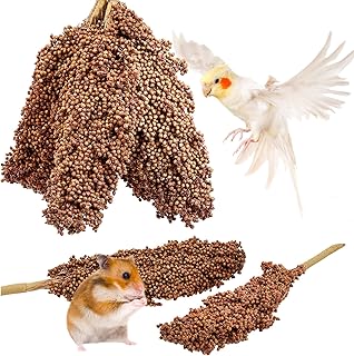 Fhiny Millet Spray for Birds, 6 PCS Natural Sun-Dried Red Sorghum Grain for Birds Seed Original Parrot Treats & Supplement Parakeet Food for Cockatiels Lovebirds Finches Budgies Pigeons Hamsters