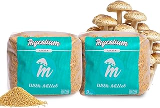 Mycelium Millet Grain Spawn Bags | Pre-Sterilized Mushroom Substrate with Self-Healing Injection Port | Ideal for Fast Colonization & Bulk Cultivation | Easy & Ready to Use